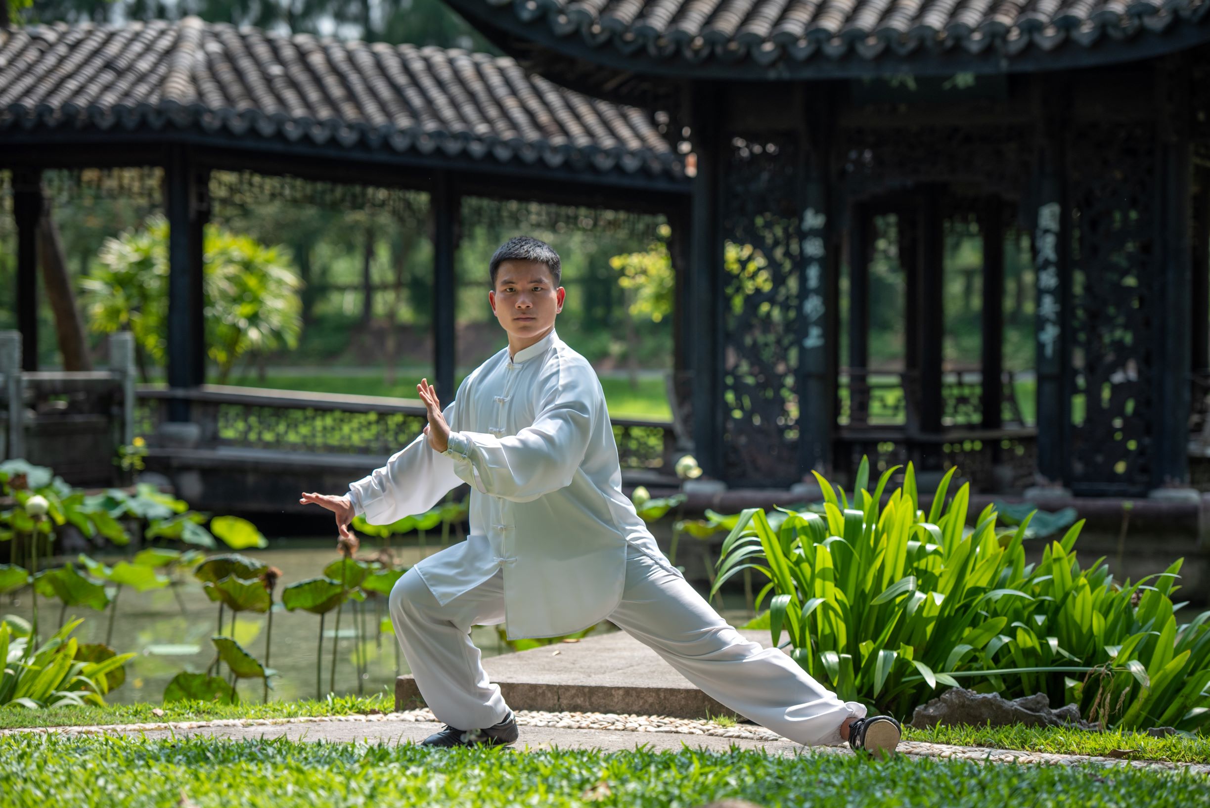 Asian Man - Tai Chi Movement