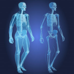 freepik skeleton with good pelvic bowl analogy