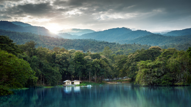 Lake with Cabins - Back Posture Blog